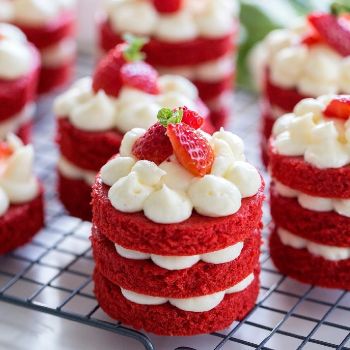 cup cake CK1002