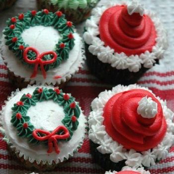 cup cake CK1020