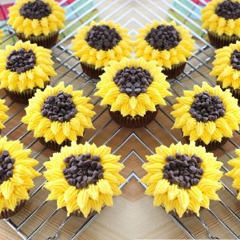 cup cake CK1005