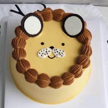kid cake K5008