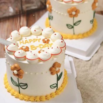 lady cake L2001