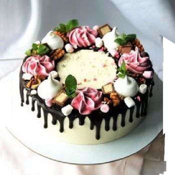 lady cake L2005